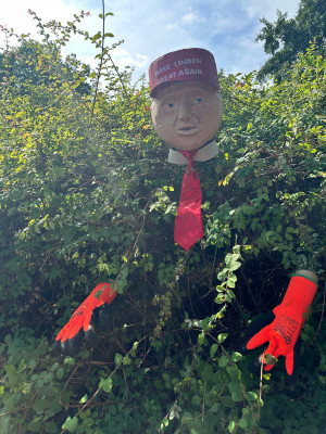Make Linden Great Again