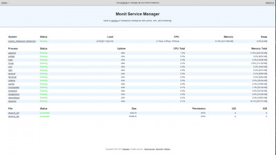 Monit Service Manager - Overview