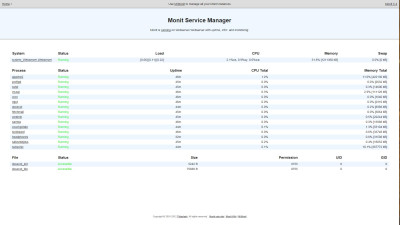 Monit Service Manager - Overview