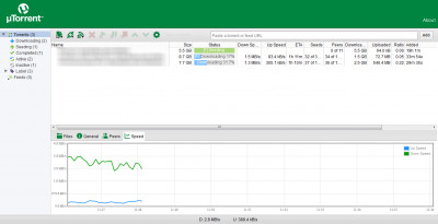 uTorrent Torrents Overzicht
