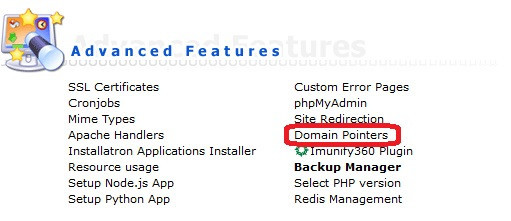DirectAdmin - Domain-Pointers