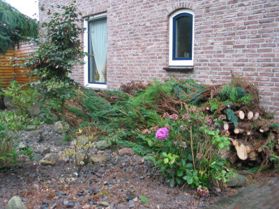 Klein Gezaagde Takken