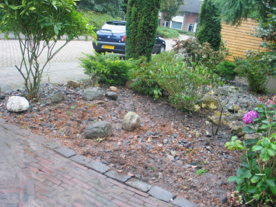 Tuin zonder Conifeer