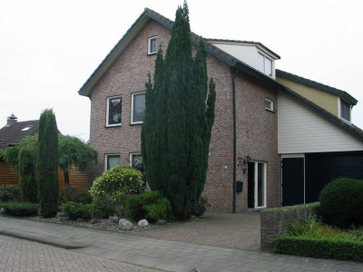 Conifeer voor Huis