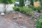 Tuin zonder Conifeer