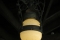 Hidden Mickey