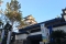 Epcot - Japan
