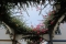 Bloemenpracht in Steegje Puerto de Mogan