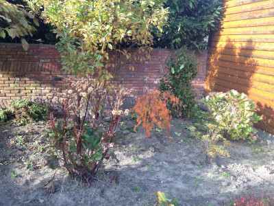 Eerste Foto iPhone 4S