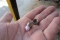 Nanocache GC2JCJ3