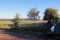Herfstwandeling