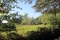 Herfstwandeling