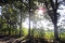 Herfstwandeling