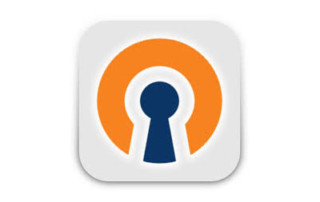 OpenVPN Logo