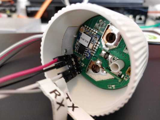 Shelly Plug S - Flashen