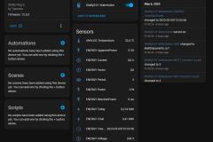 Settings Home-Assistant - Shelly Plug S
