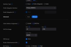 UDMP - Networks - IPv6