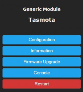 Tasmota - Console