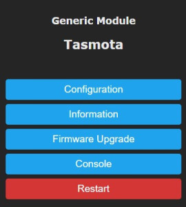 Tasmota - Console