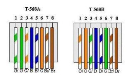 T-568B
