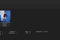 Lidarr - Library