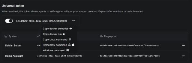 Beszel - Copy docker-compose voor Beszel-Agent