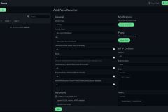 Uptime Kuma - Add New Monitor