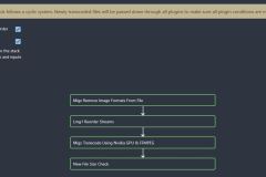 TDarr Transcode Options