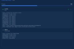 Dockhand - Updating containers